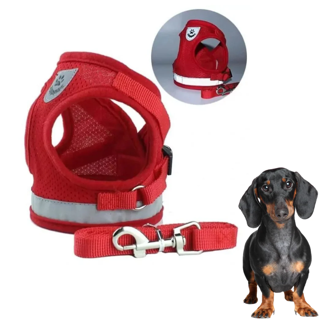 ShinePup Dachshund Reflective Harness with Leash - Image 6