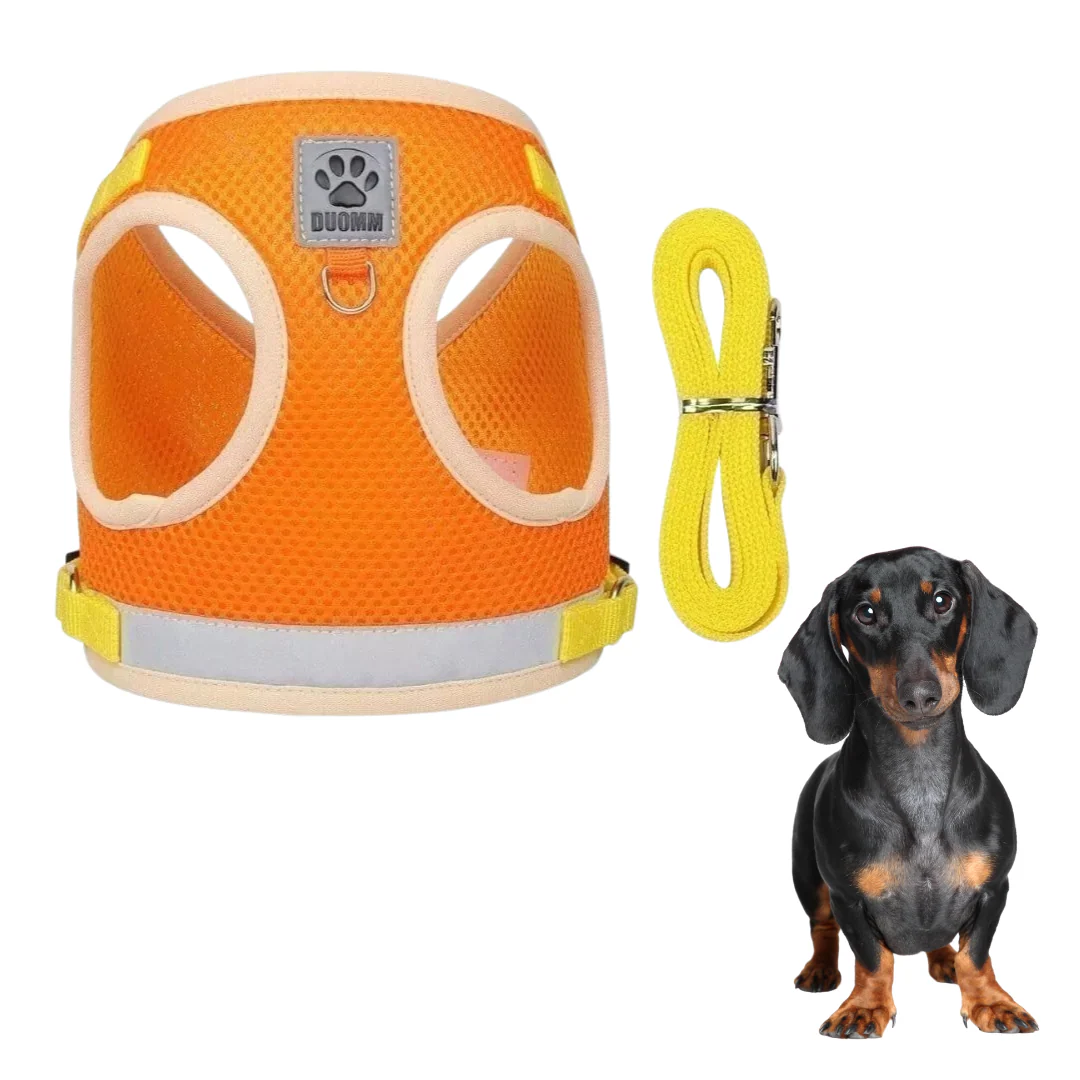 ShinePup Dachshund Reflective Harness with Leash - Image 7