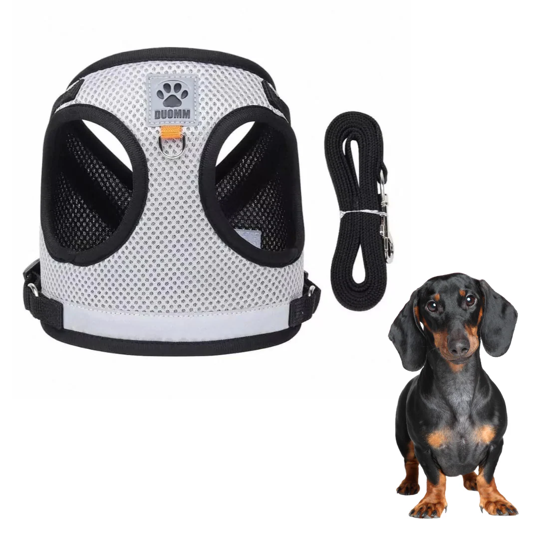 ShinePup Dachshund Reflective Harness with Leash - Image 9