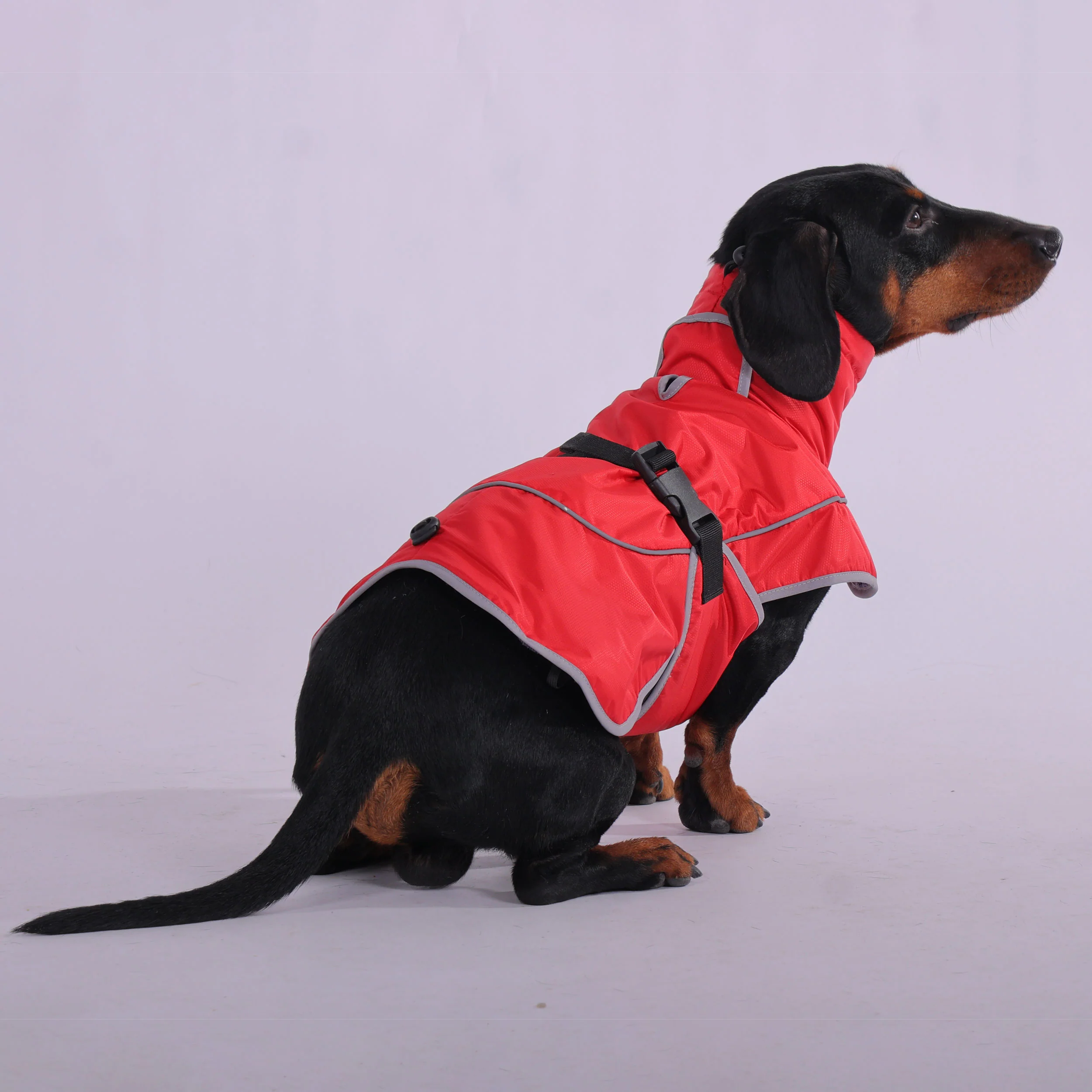 StormSafe Dachshund Winter Jacket - Ultimate Warmth and Rain Protection - Image 3