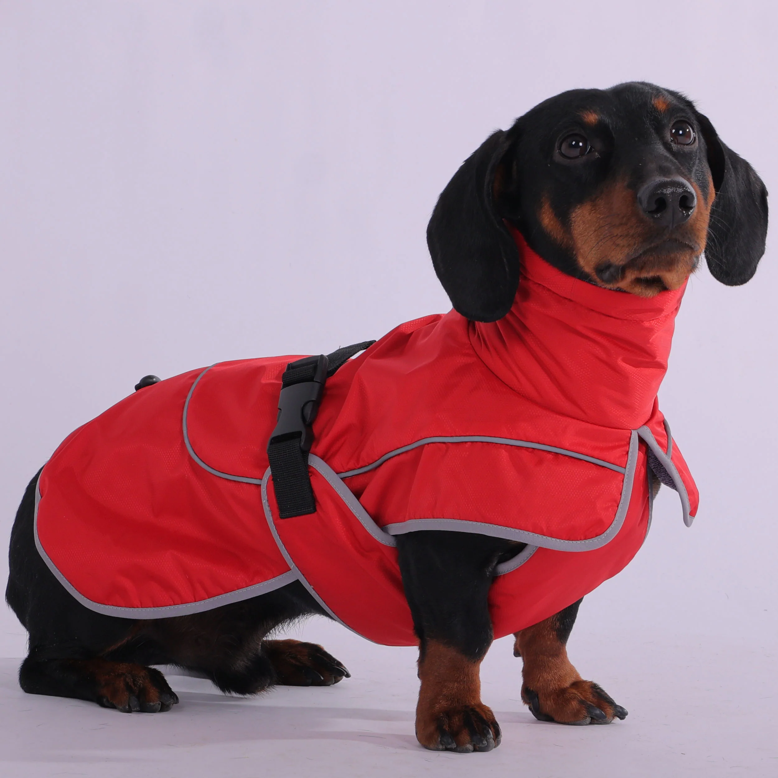 StormSafe Dachshund Winter Jacket - Ultimate Warmth and Rain Protection - Image 4