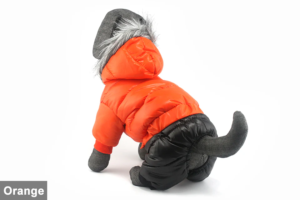 Stylish Dachshund Waterproof Coat I Upgrade Winter Jacket for Puppy - Image 12
