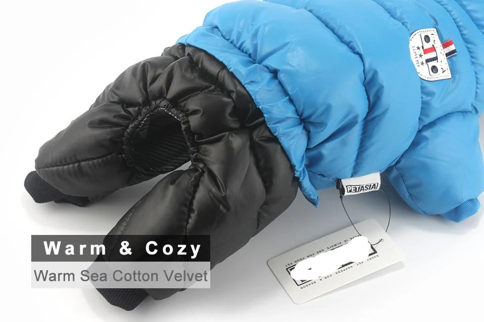 Stylish Dachshund Waterproof Coat I Upgrade Winter Jacket for Puppy - Image 14