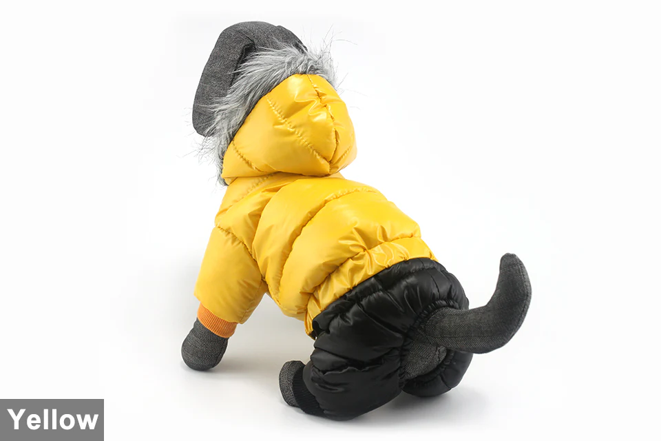 Stylish Dachshund Waterproof Coat I Upgrade Winter Jacket for Puppy - Image 15