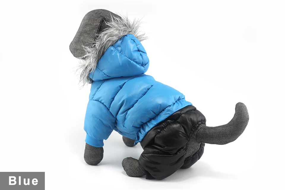 Stylish Dachshund Waterproof Coat I Upgrade Winter Jacket for Puppy - Image 16