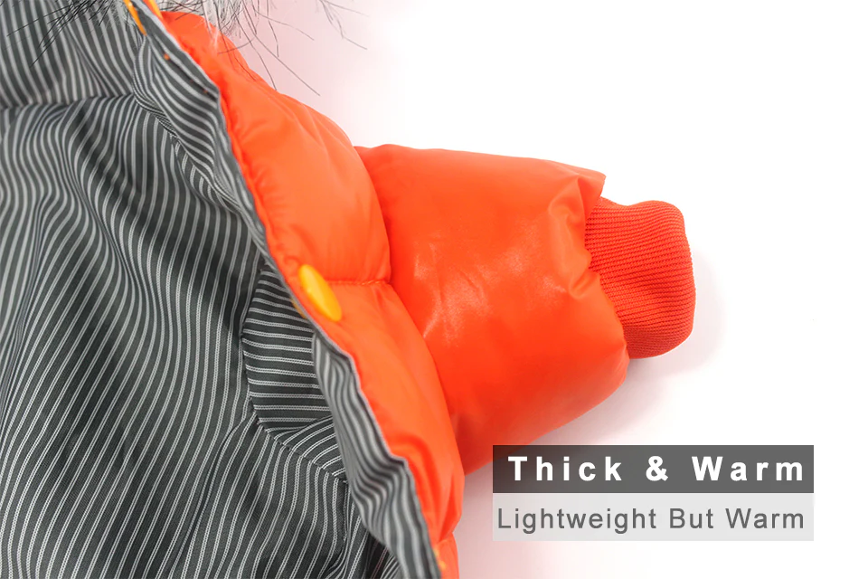 Stylish Dachshund Waterproof Coat I Upgrade Winter Jacket for Puppy - Image 17