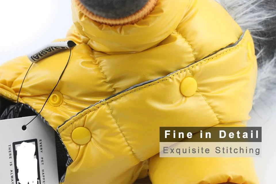 Stylish Dachshund Waterproof Coat I Upgrade Winter Jacket for Puppy - Image 18