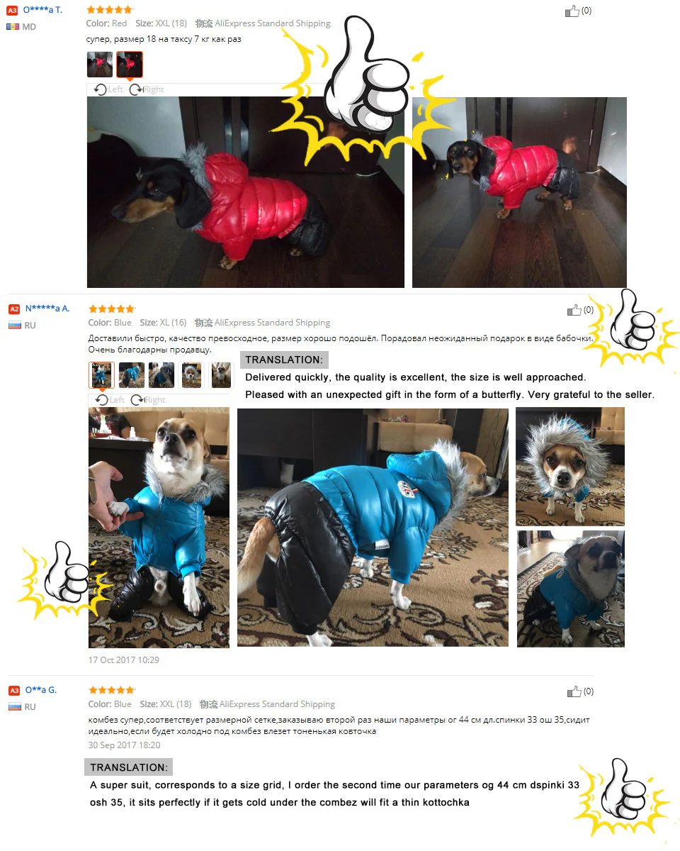 Stylish Dachshund Waterproof Coat I Upgrade Winter Jacket for Puppy - Image 19