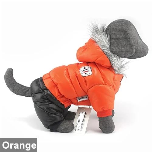 Stylish Dachshund Waterproof Coat I Upgrade Winter Jacket for Puppy - Image 20