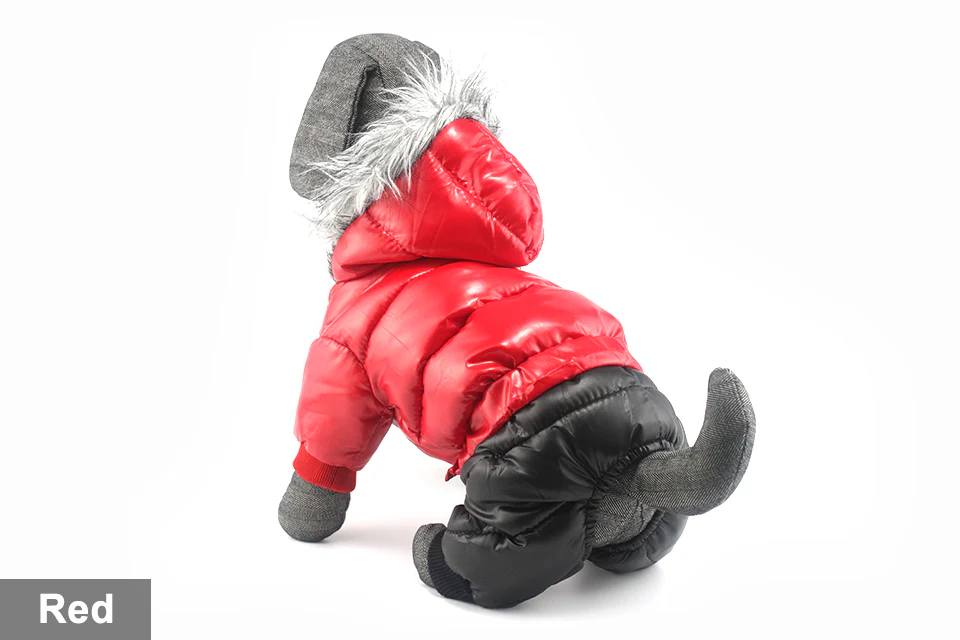 Stylish Dachshund Waterproof Coat I Upgrade Winter Jacket for Puppy - Image 22