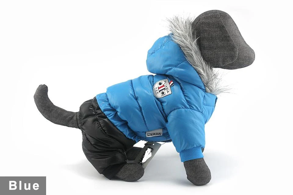 Stylish Dachshund Waterproof Coat I Upgrade Winter Jacket for Puppy - Image 24