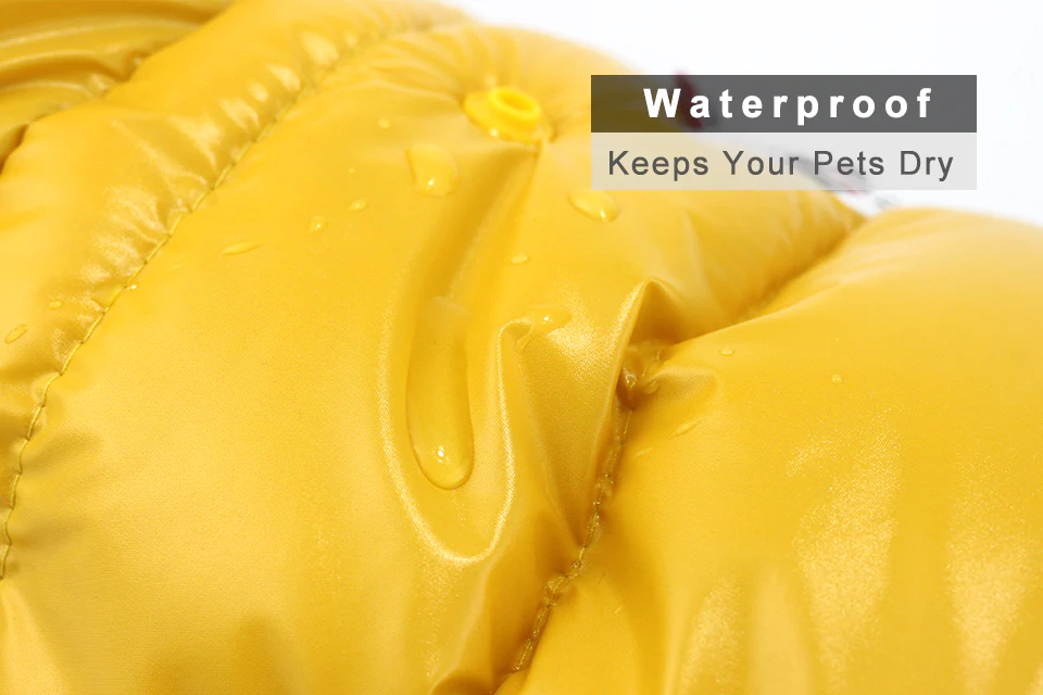 Stylish Dachshund Waterproof Coat I Upgrade Winter Jacket for Puppy - Image 25