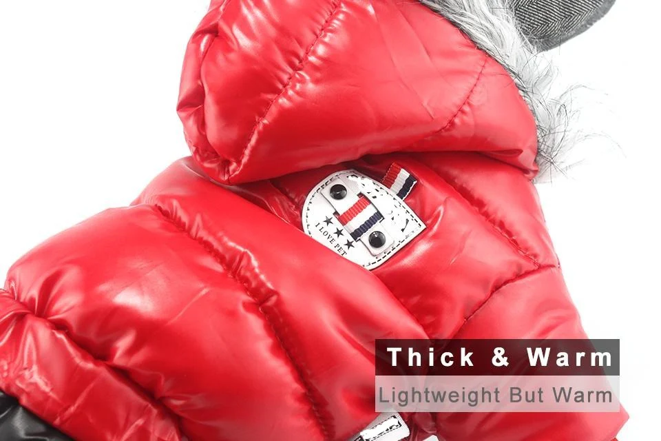 Stylish Dachshund Waterproof Coat I Upgrade Winter Jacket for Puppy - Image 3