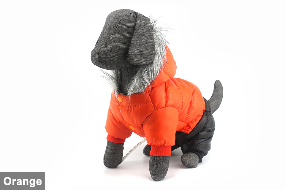 Stylish Dachshund Waterproof Coat I Upgrade Winter Jacket for Puppy - Image 31