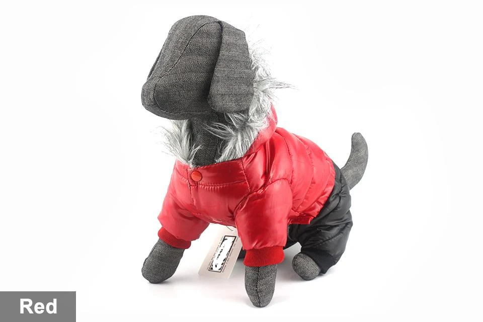 Stylish Dachshund Waterproof Coat I Upgrade Winter Jacket for Puppy - Image 37