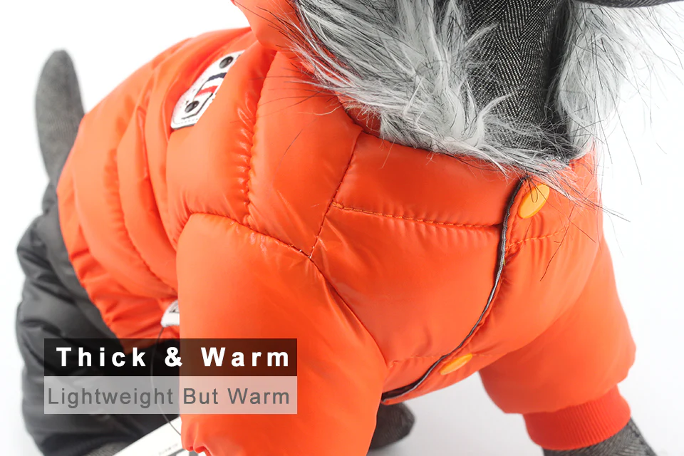 Stylish Dachshund Waterproof Coat I Upgrade Winter Jacket for Puppy - Image 39