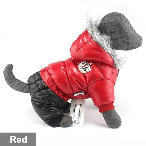Stylish Dachshund Waterproof Coat I Upgrade Winter Jacket for Puppy - Image 42