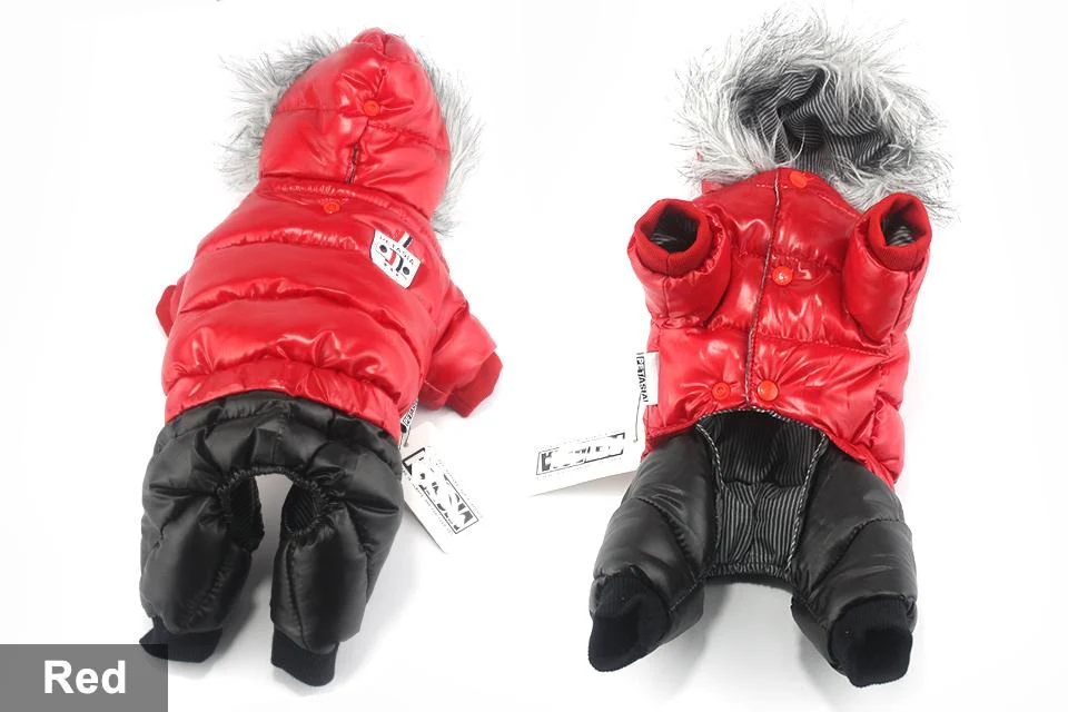 Stylish Dachshund Waterproof Coat I Upgrade Winter Jacket for Puppy - Image 7