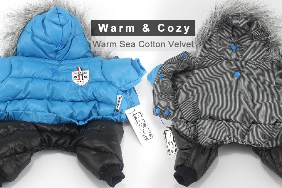 Stylish Dachshund Waterproof Coat I Upgrade Winter Jacket for Puppy - Image 8