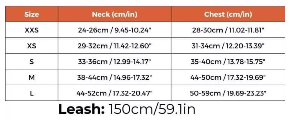 TailTribe Dachshund Reflective Harness and Leash - Image 12