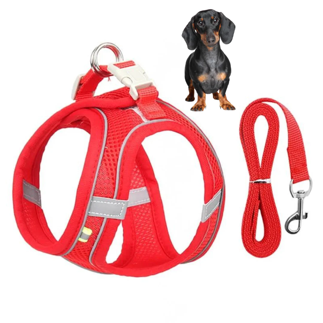 TailTribe Dachshund Reflective Harness and Leash - Image 3