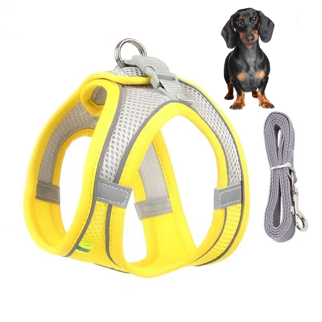 TailTribe Dachshund Reflective Harness and Leash - Image 5