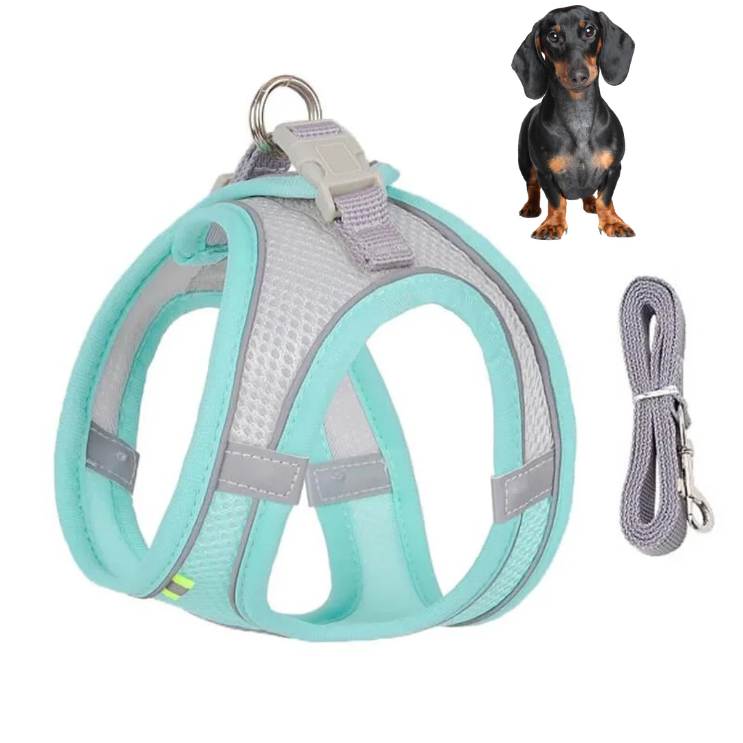TailTribe Dachshund Reflective Harness and Leash - Image 6