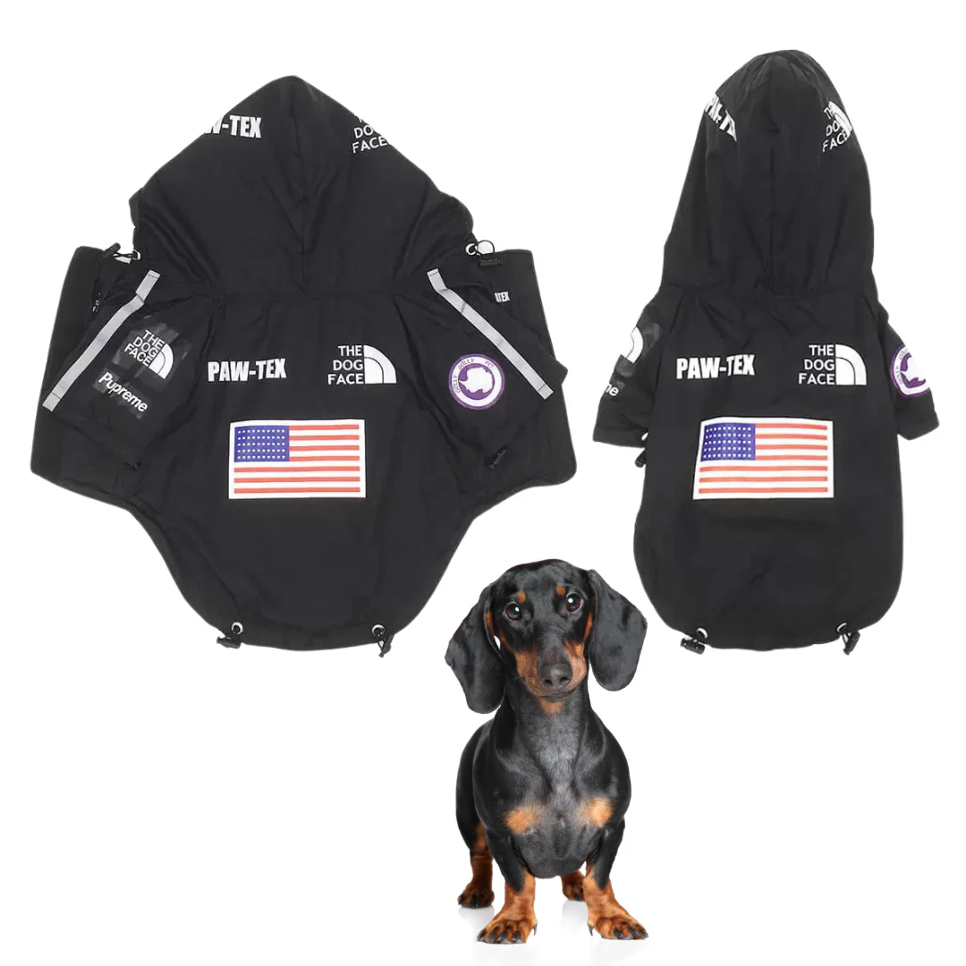 The Dog Face Dachshund Raincoat - Image 3