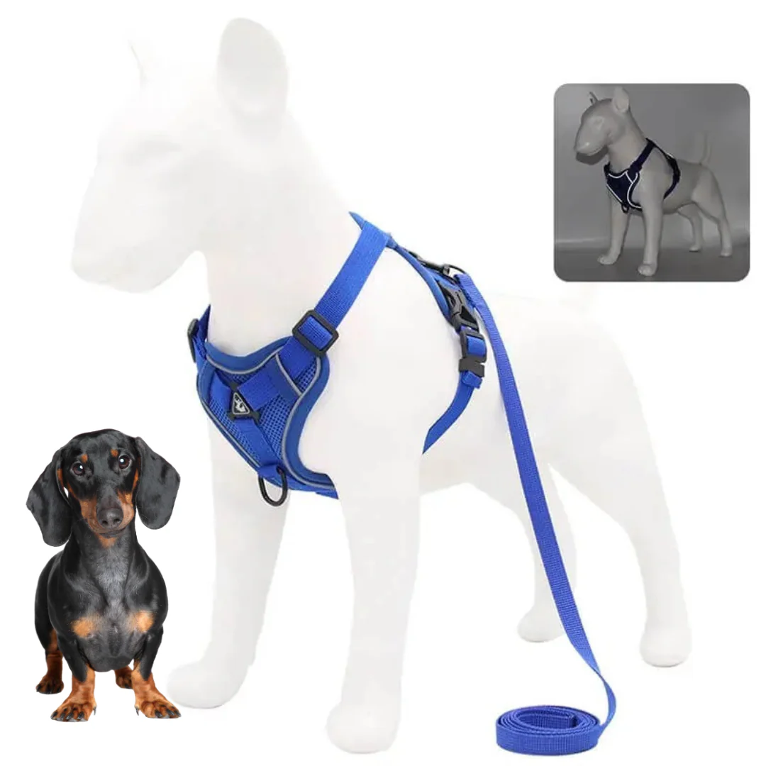 WagFree No Pull Doxie Harness and Leash Set - Image 3