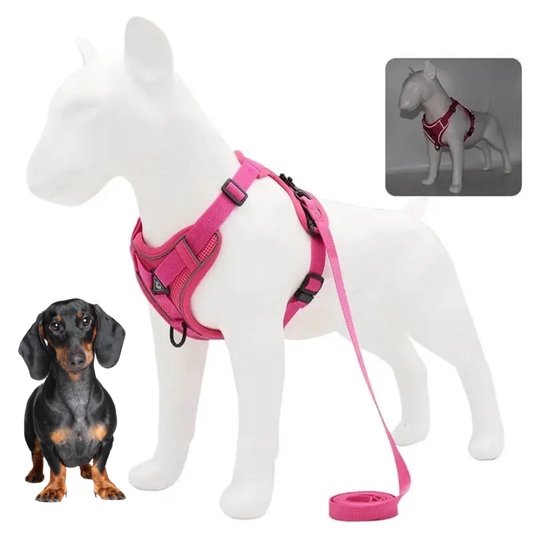 WagFree No Pull Doxie Harness and Leash Set - Image 4