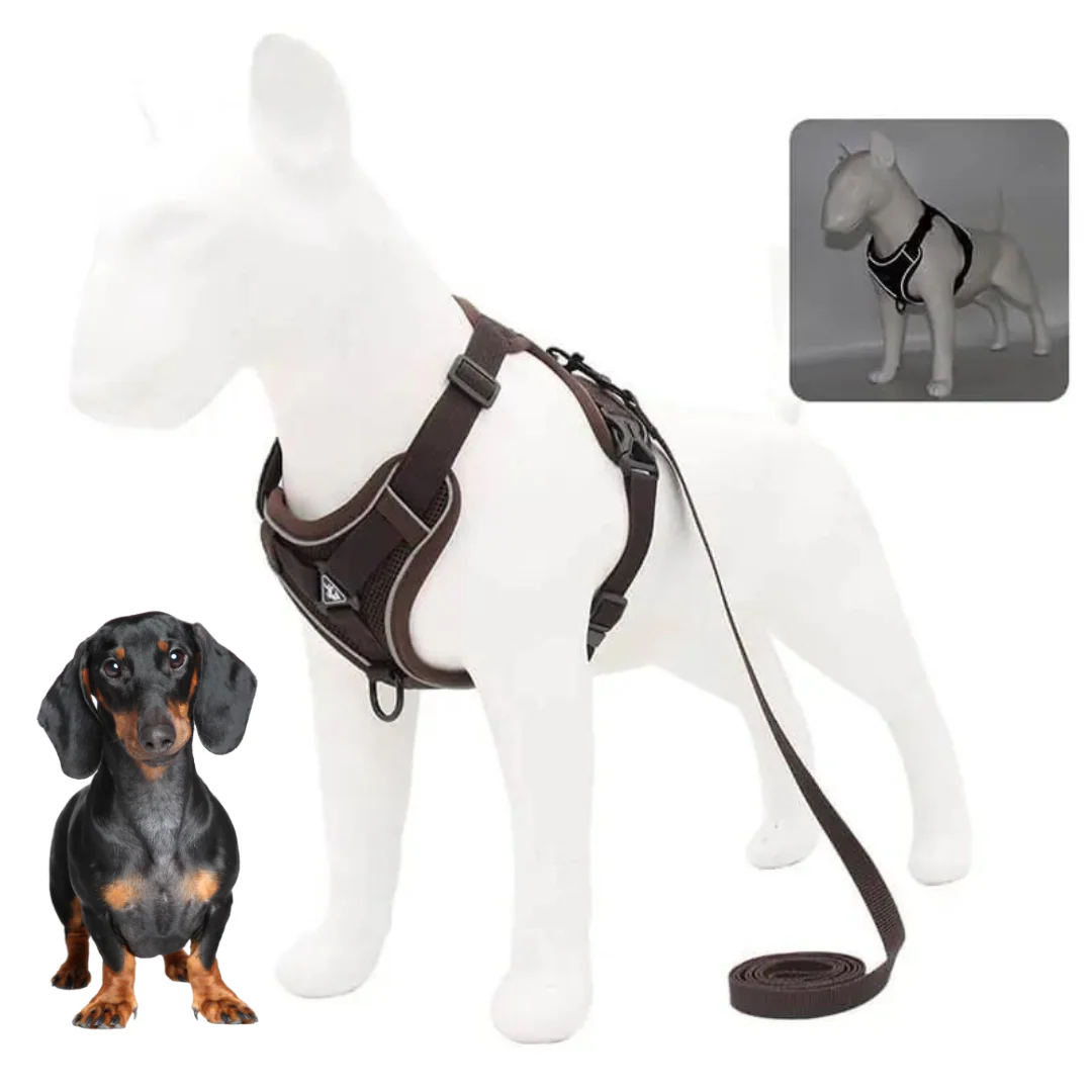 WagFree No Pull Doxie Harness and Leash Set - Image 5
