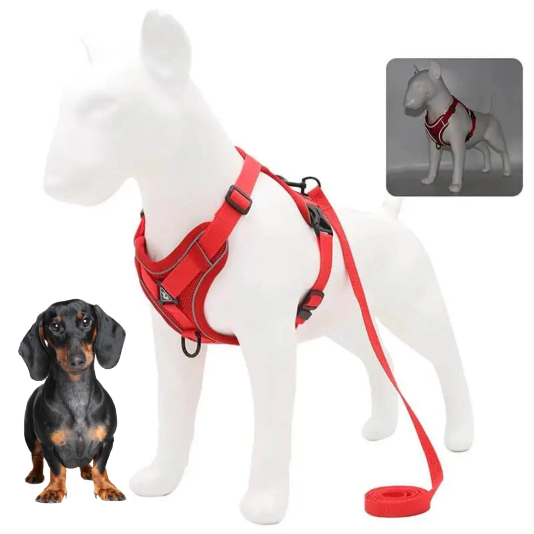 WagFree No Pull Doxie Harness and Leash Set - Image 6