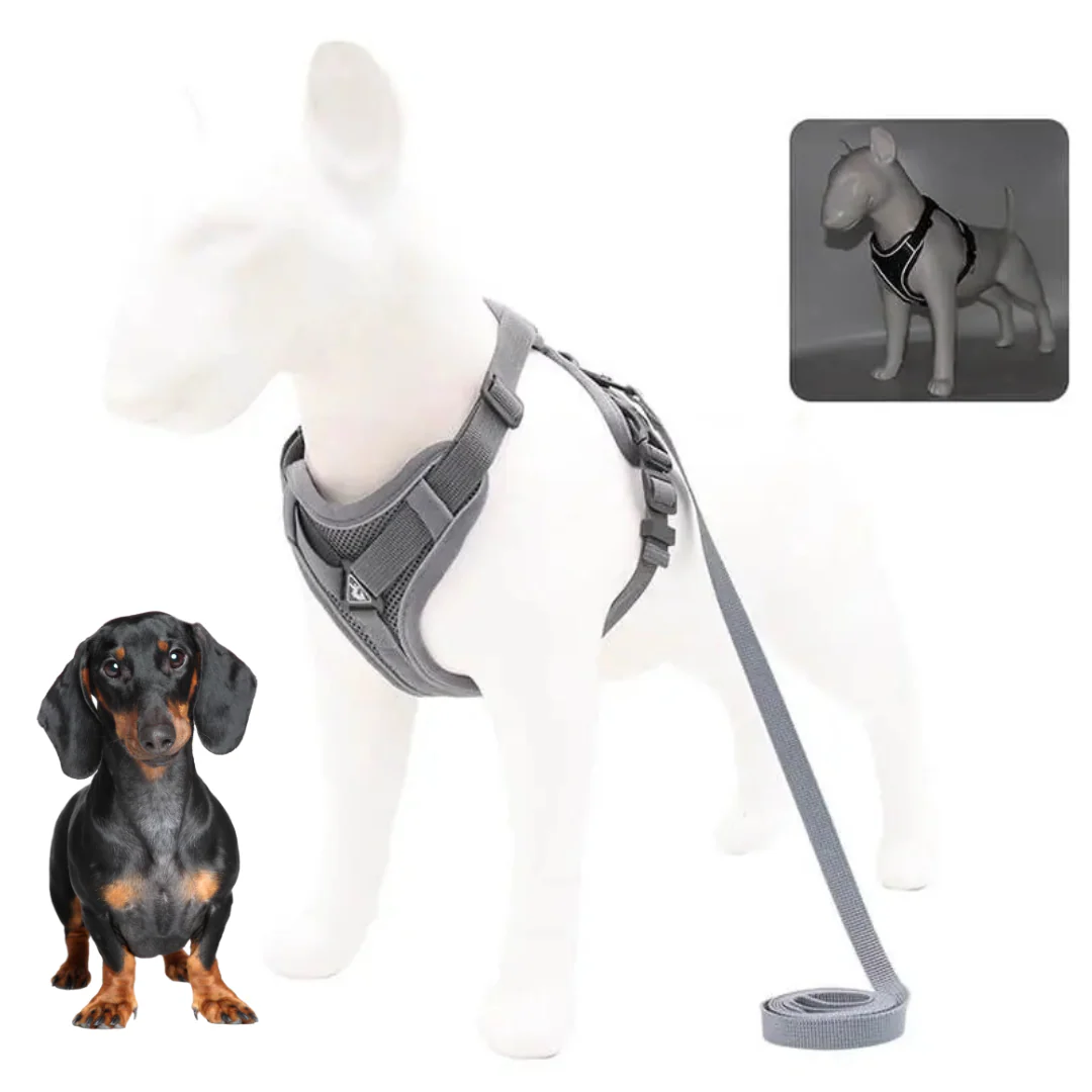 WagFree No Pull Doxie Harness and Leash Set - Image 7