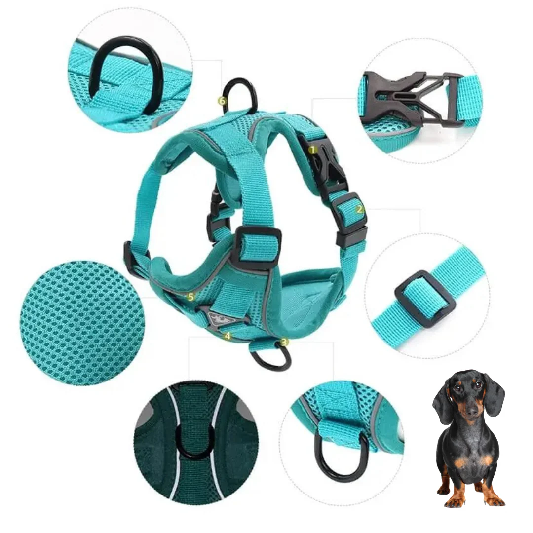 WagFree No Pull Doxie Harness and Leash Set - Image 9